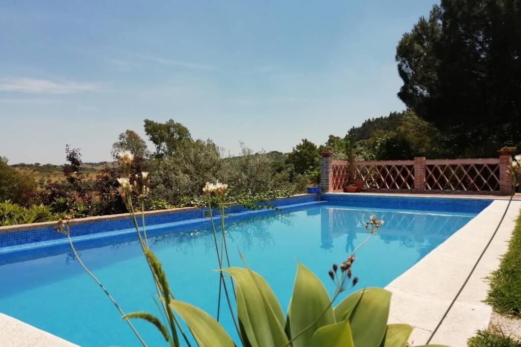 Casa Rural La Vega Cazalla de la Sierra Exterior foto