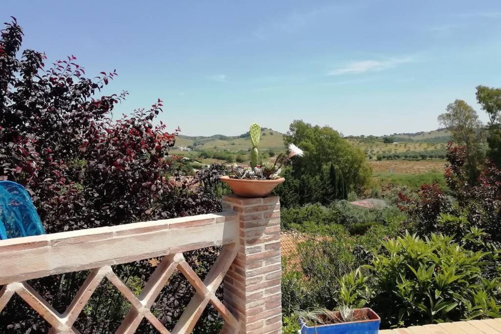 Casa Rural La Vega Cazalla de la Sierra Exterior foto